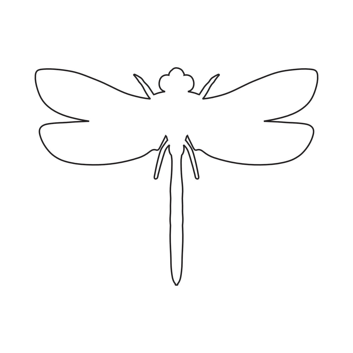 Dragonfly Acrylic Blank