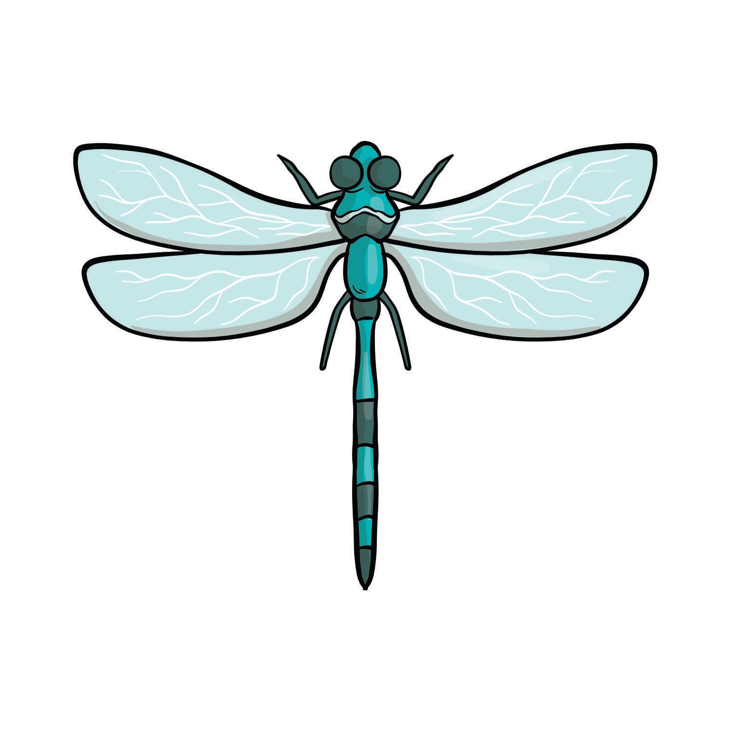 Dragonfly Acrylic Blank