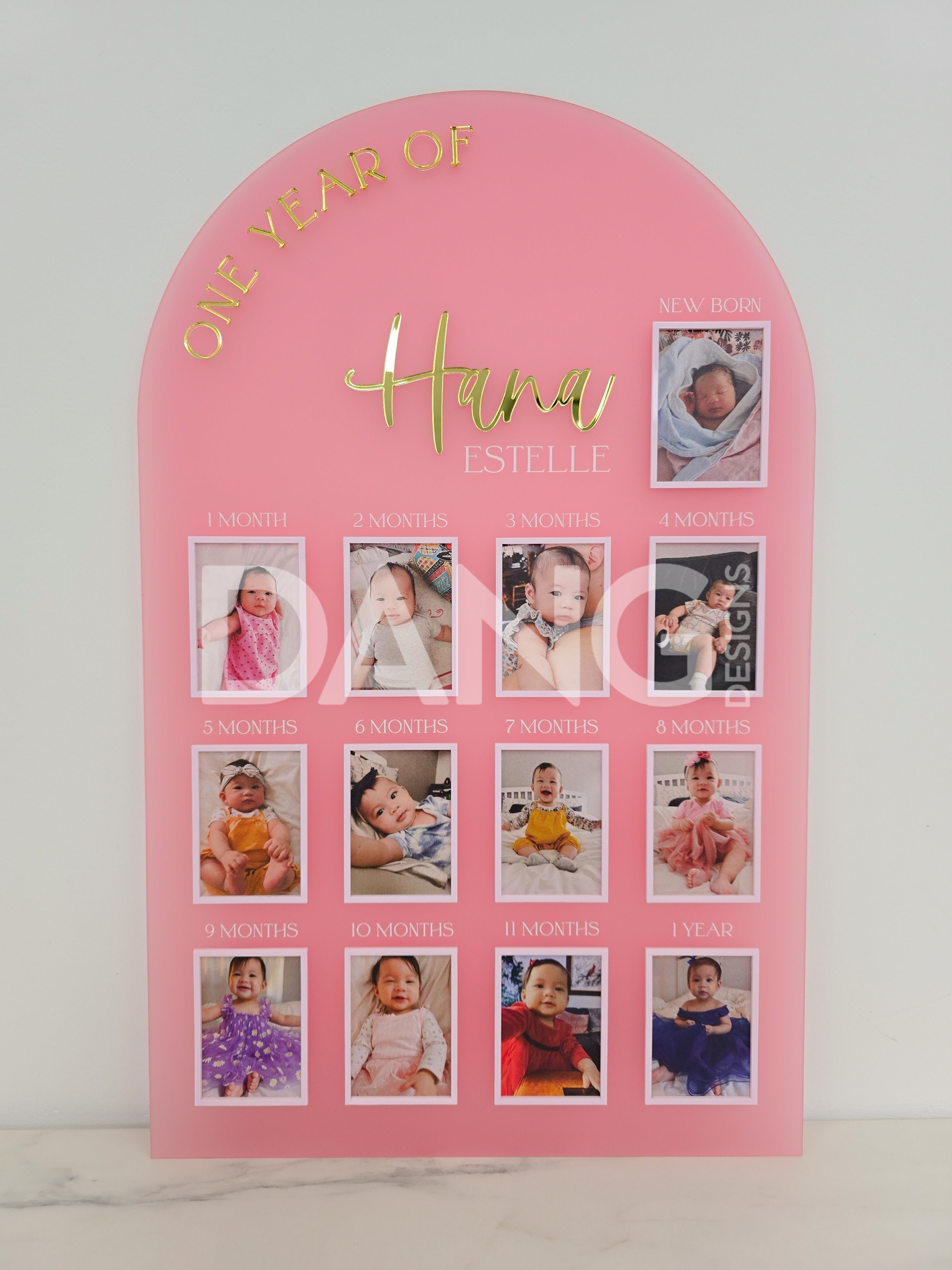 One Year Baby Photo Sign
