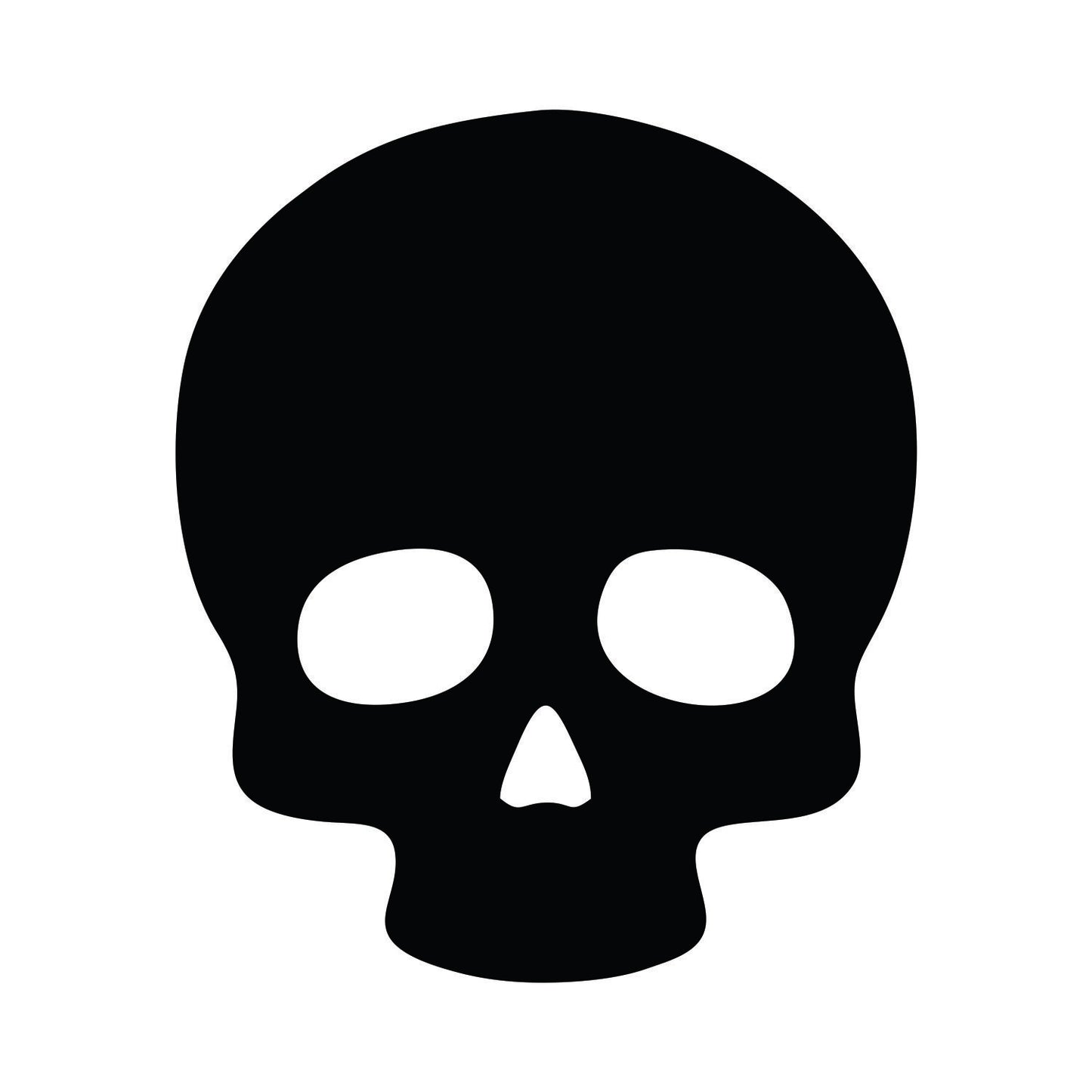 Skull Acrylic Blank