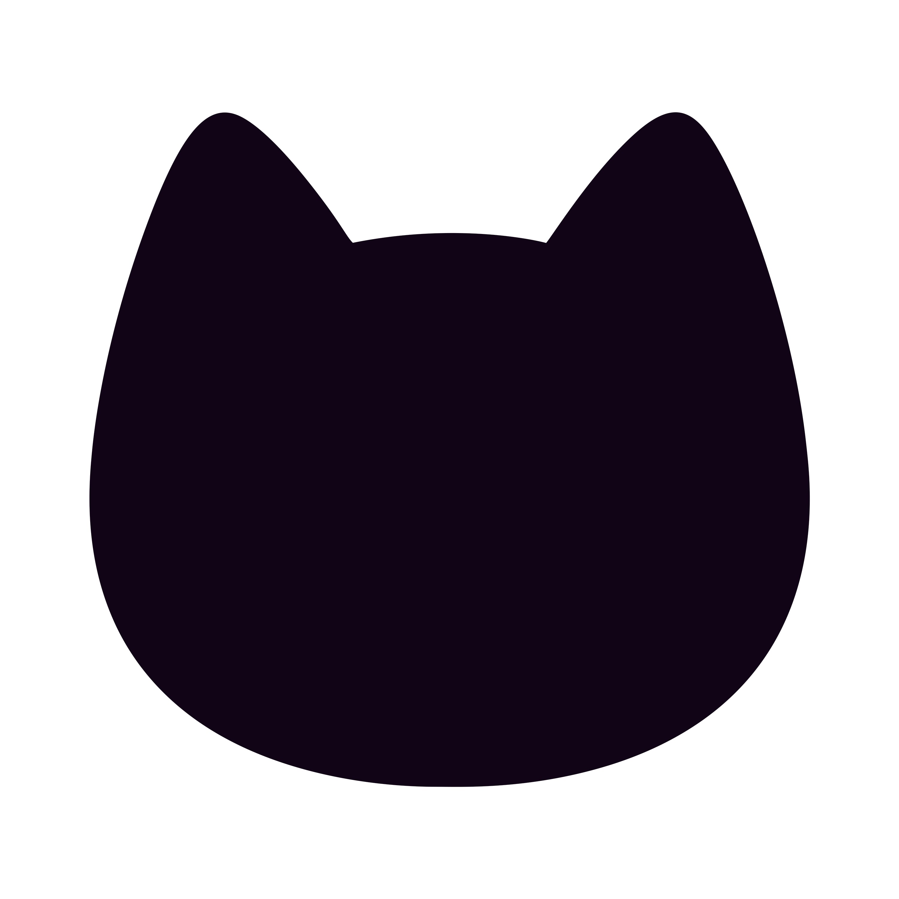 Cat Head Acrylic Blank