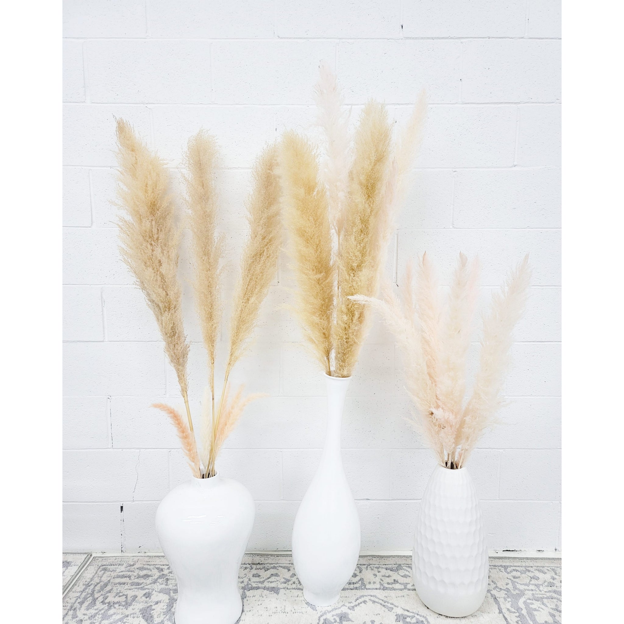 Pampas Grass