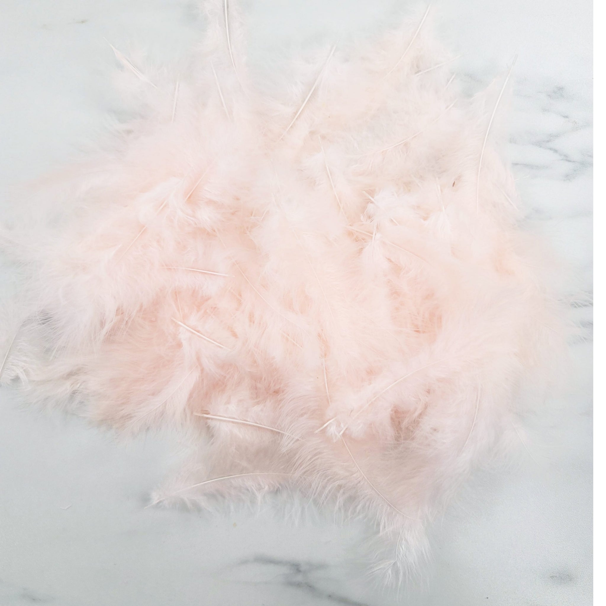 Bag of Feathers