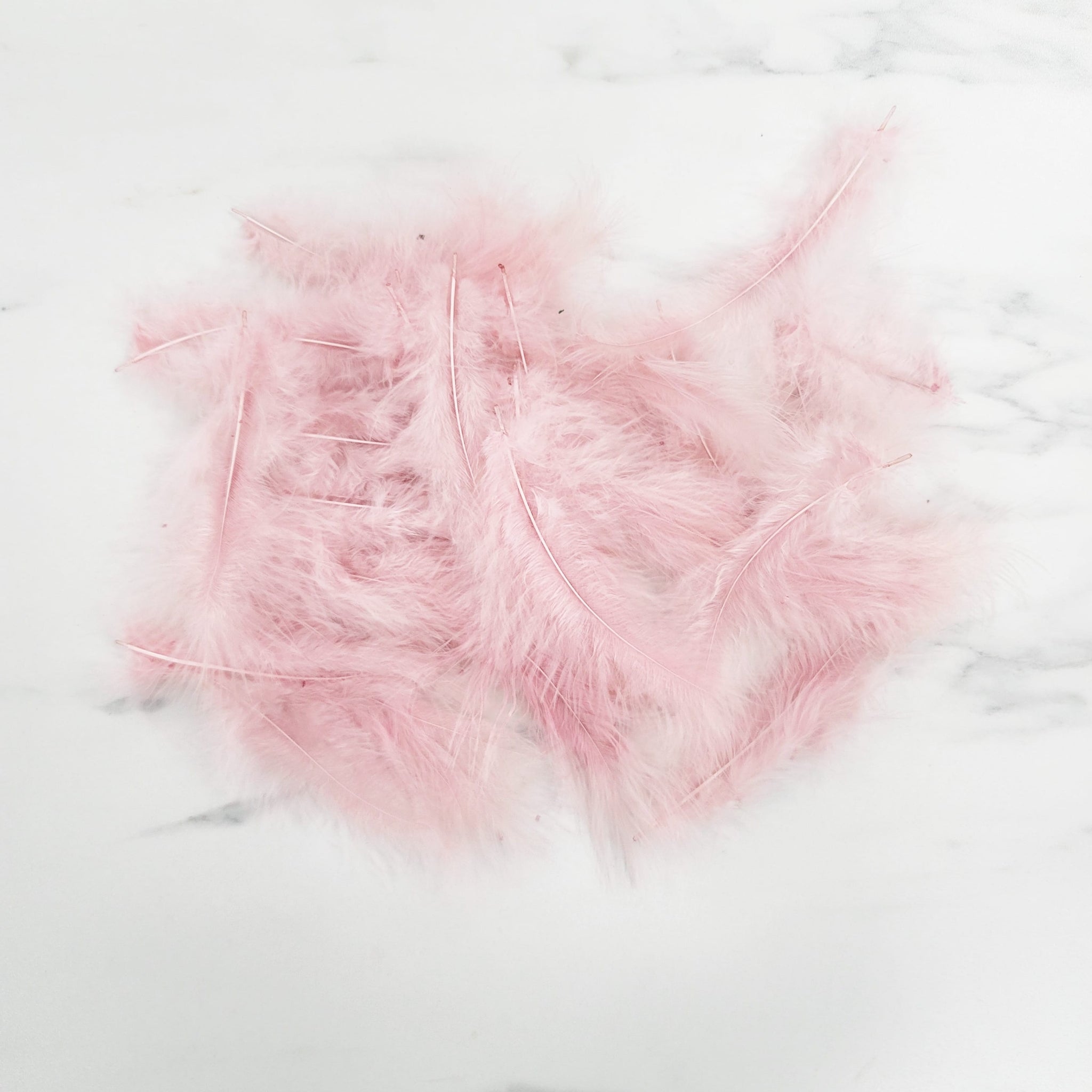 Bag of Feathers