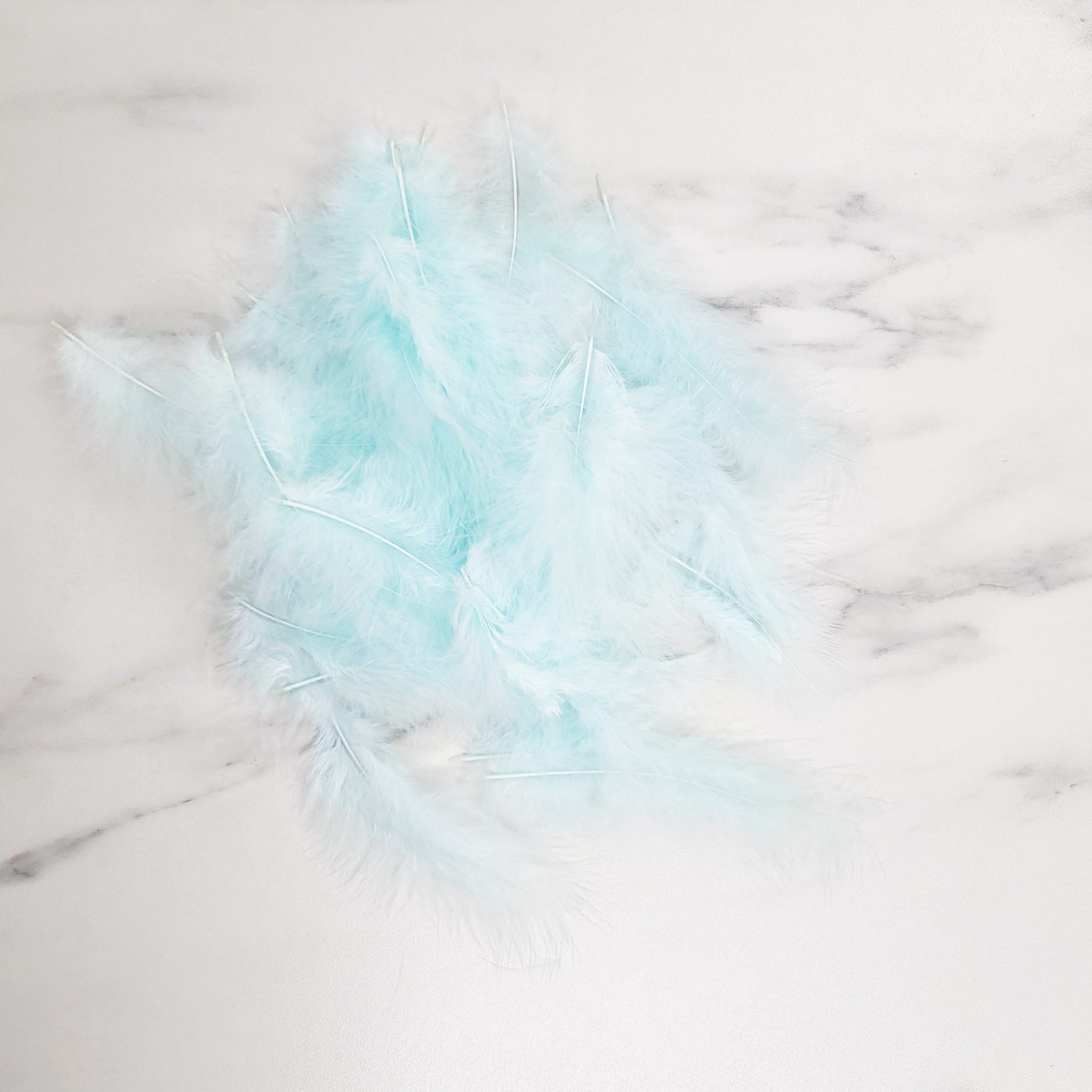 Bag of Feathers