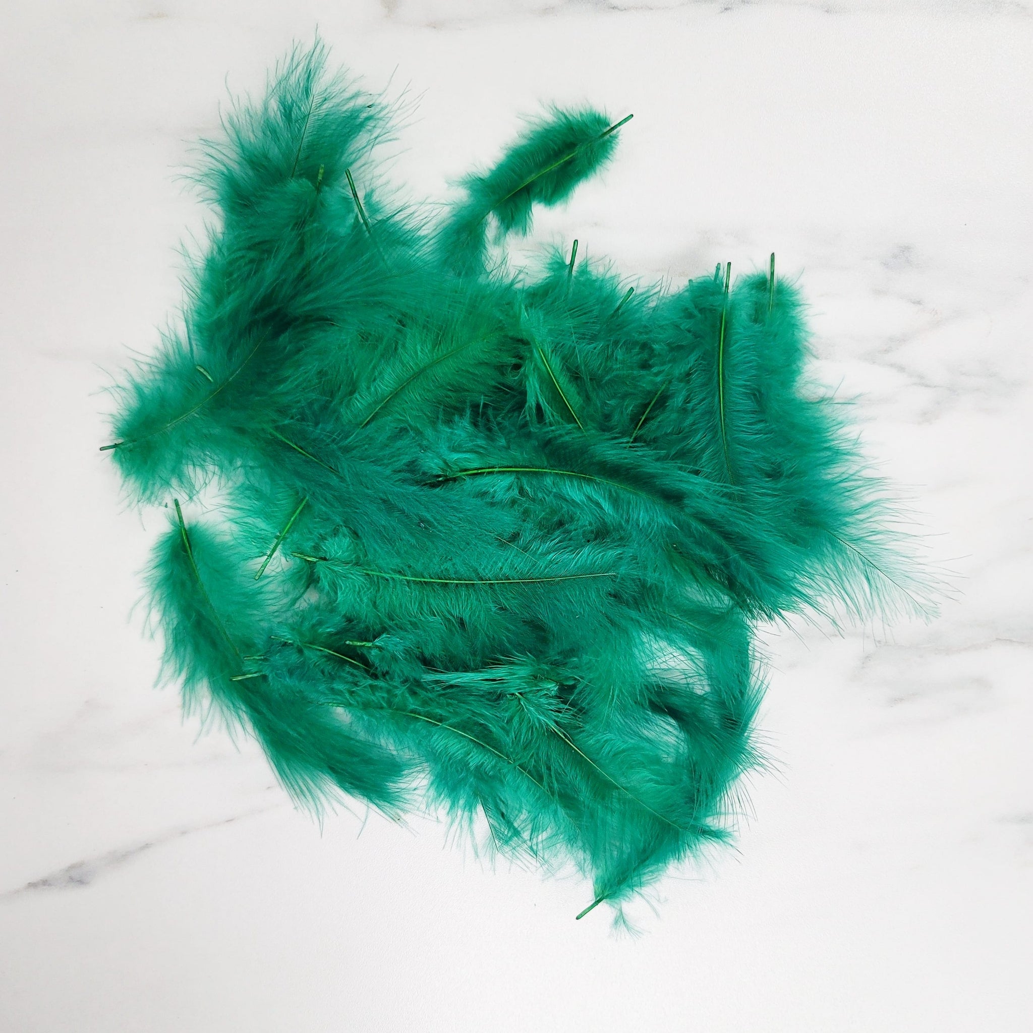 Bag of Feathers