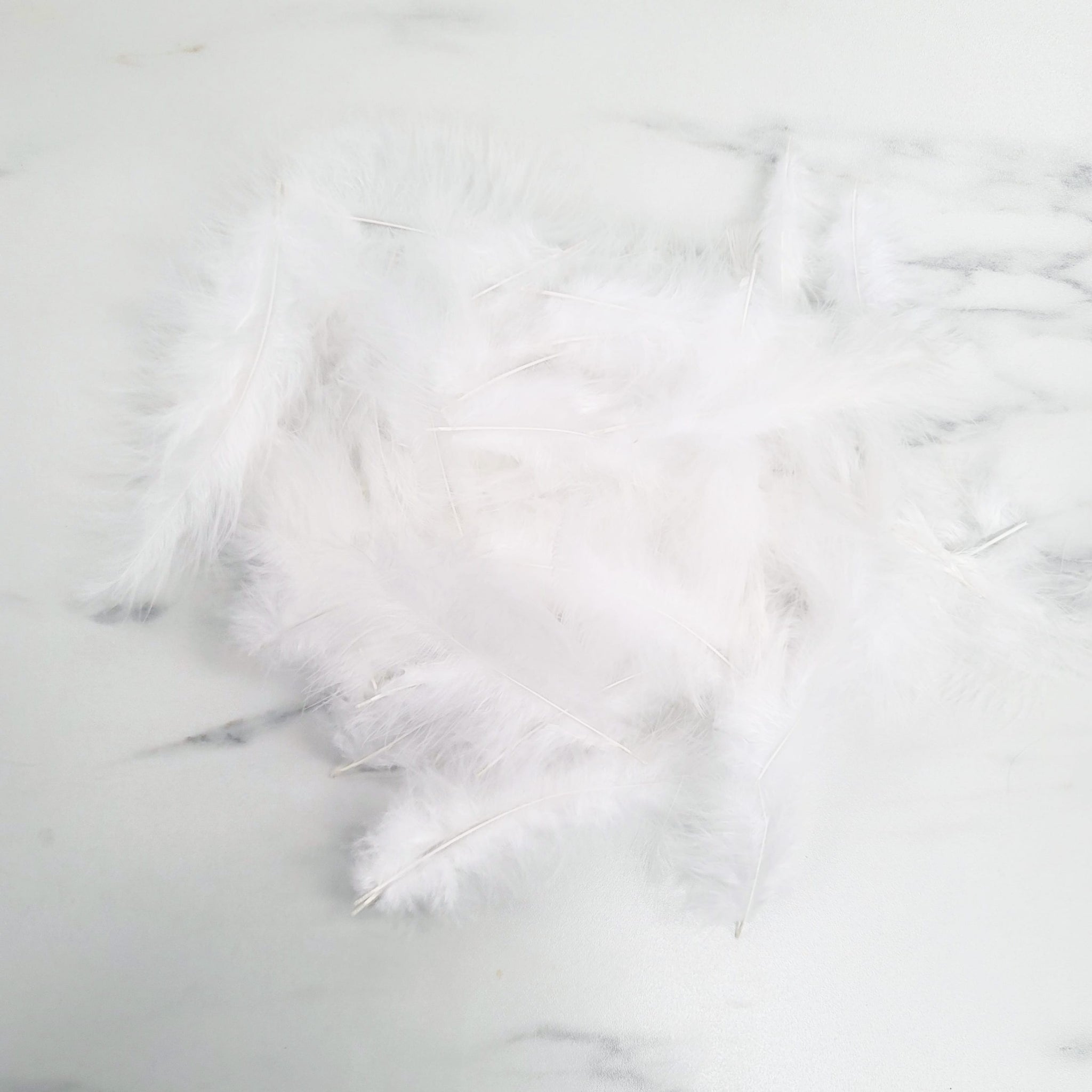 Bag of Feathers