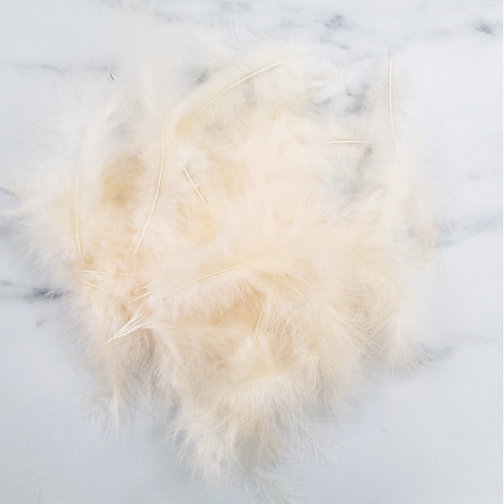 Bag of Feathers