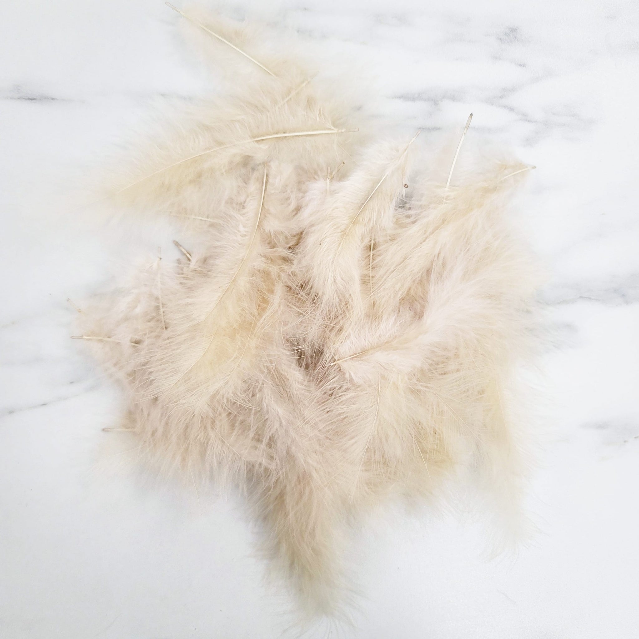 Bag of Feathers