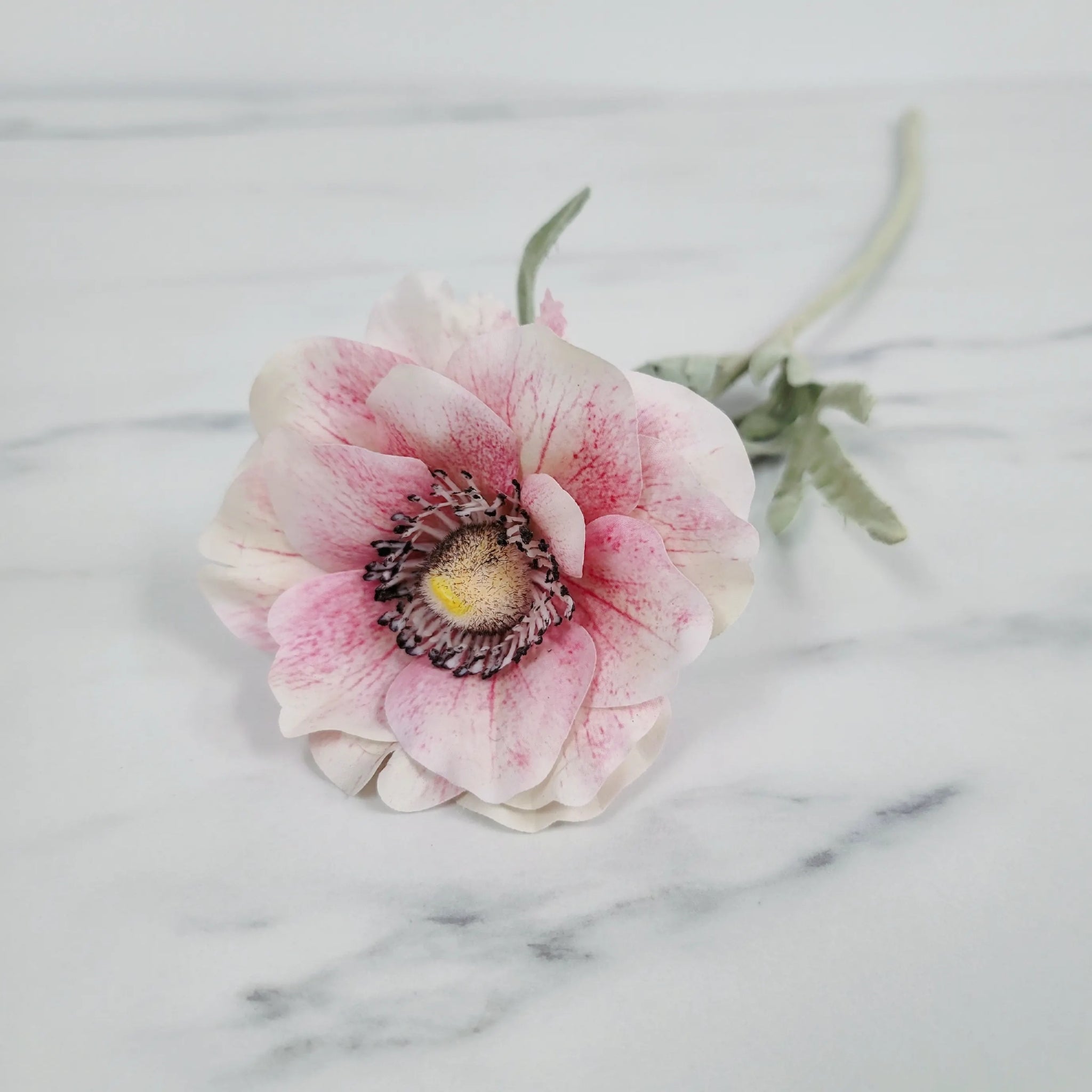 Poppy | Single Stem