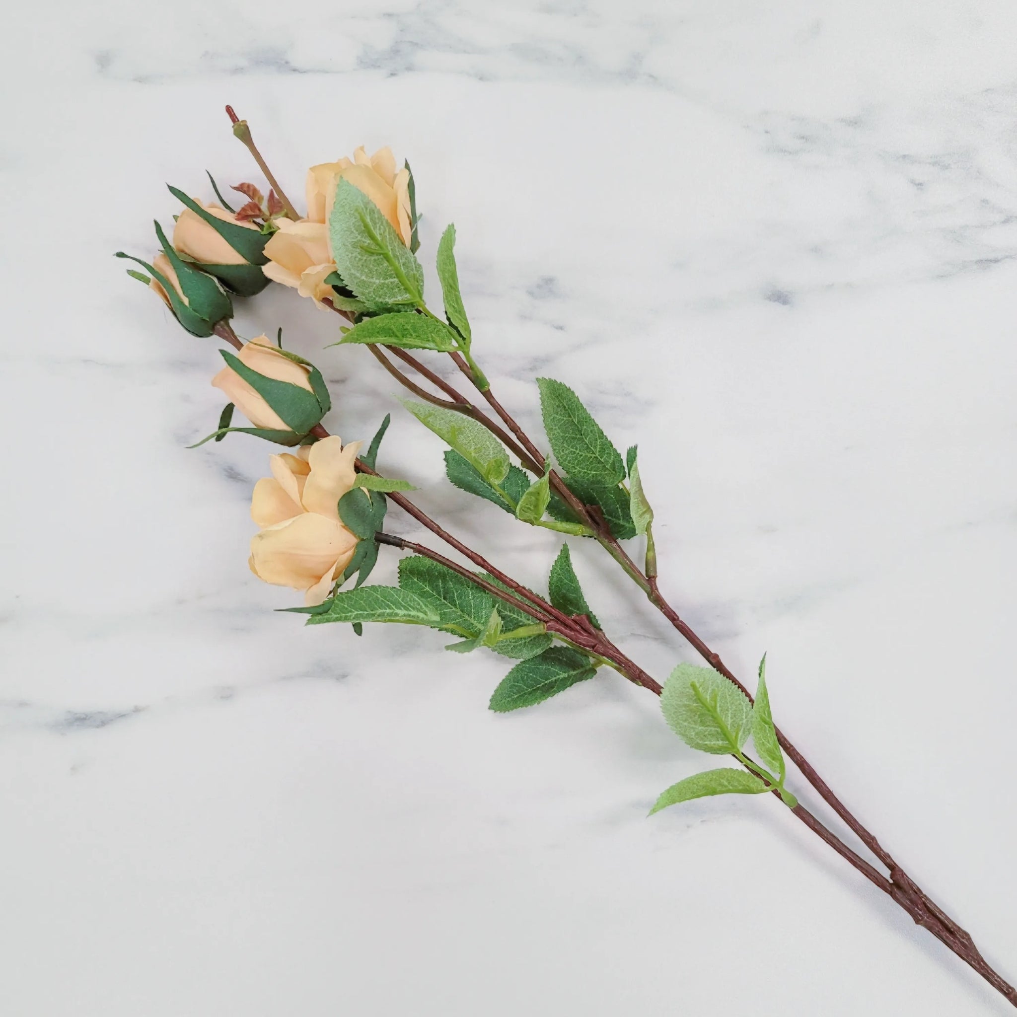 Spray Rose | Single Stem