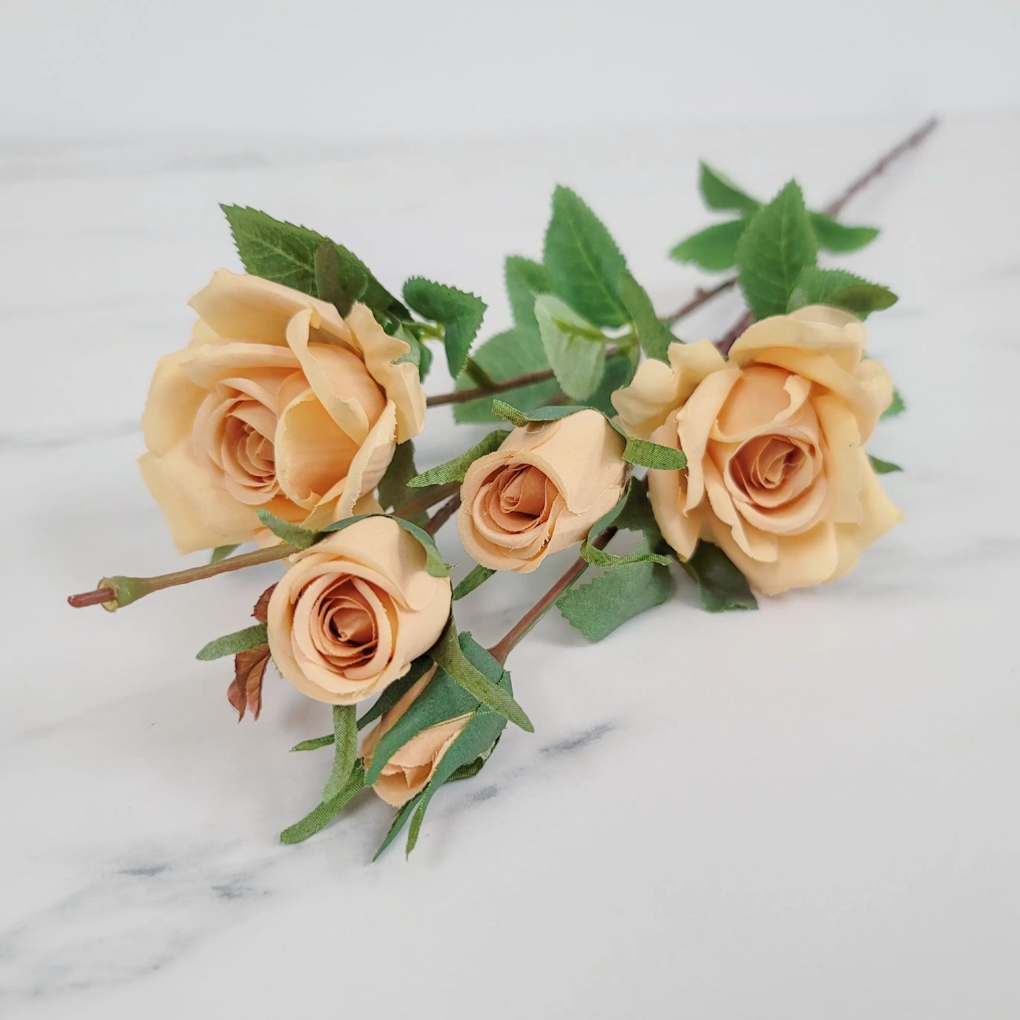 Spray Rose | Single Stem