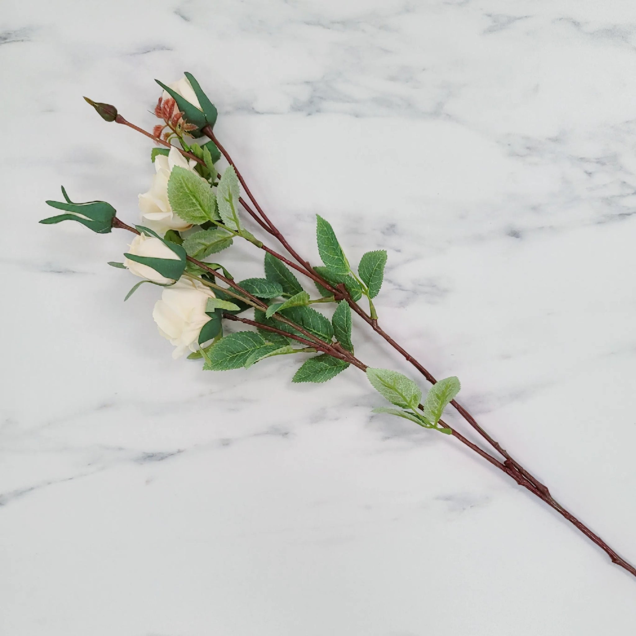 Spray Rose | Single Stem