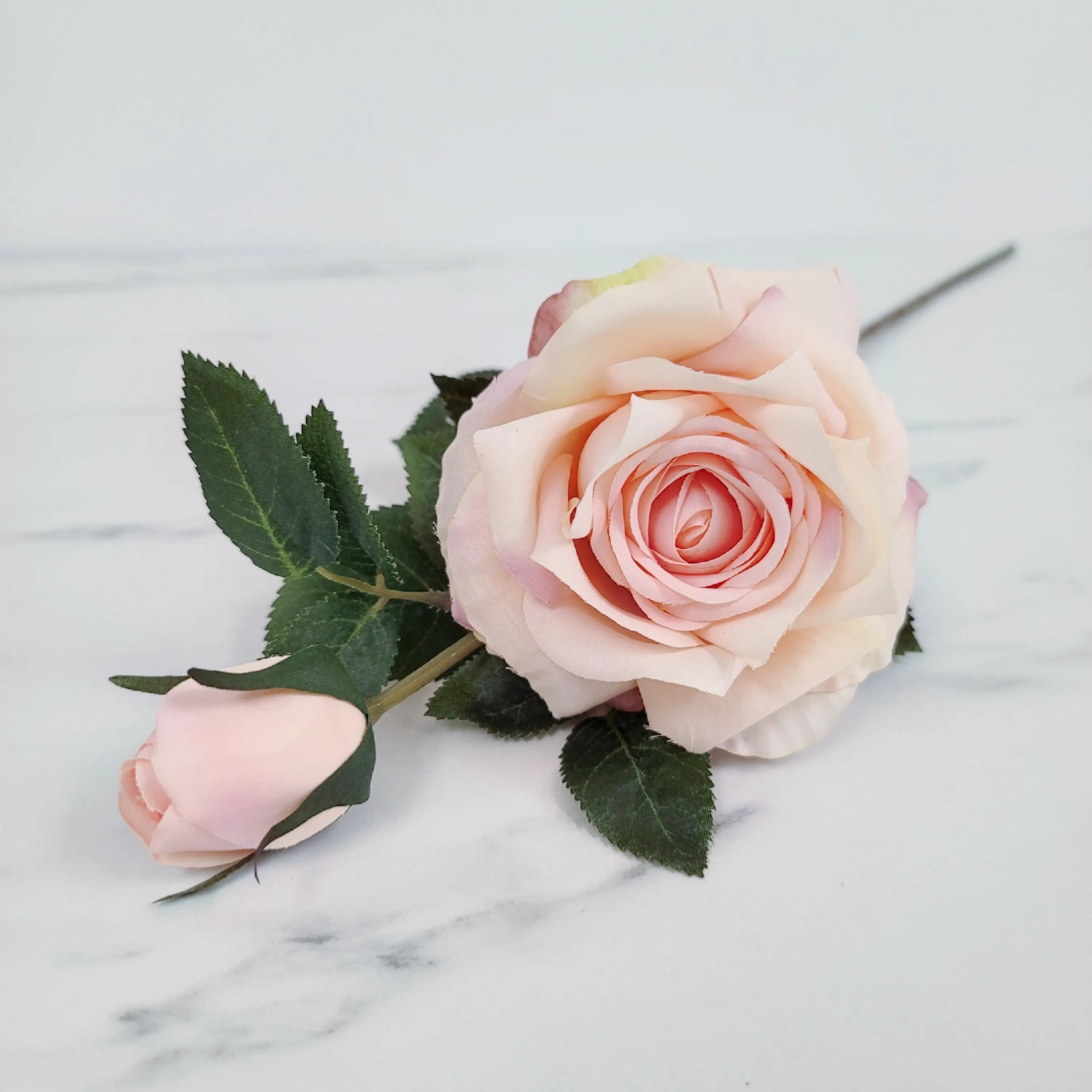Rose | Single Stem