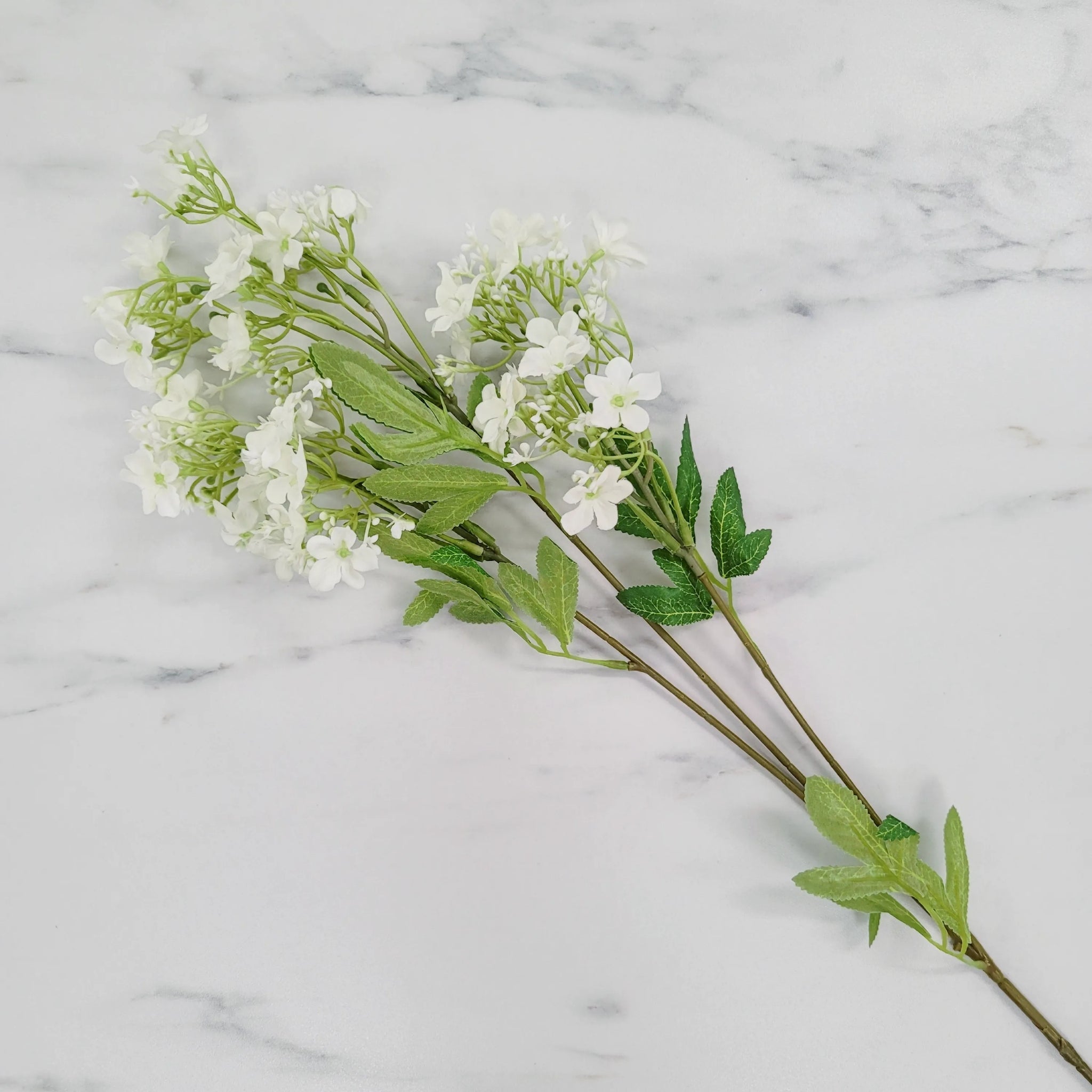 Star Flower | Single Stem