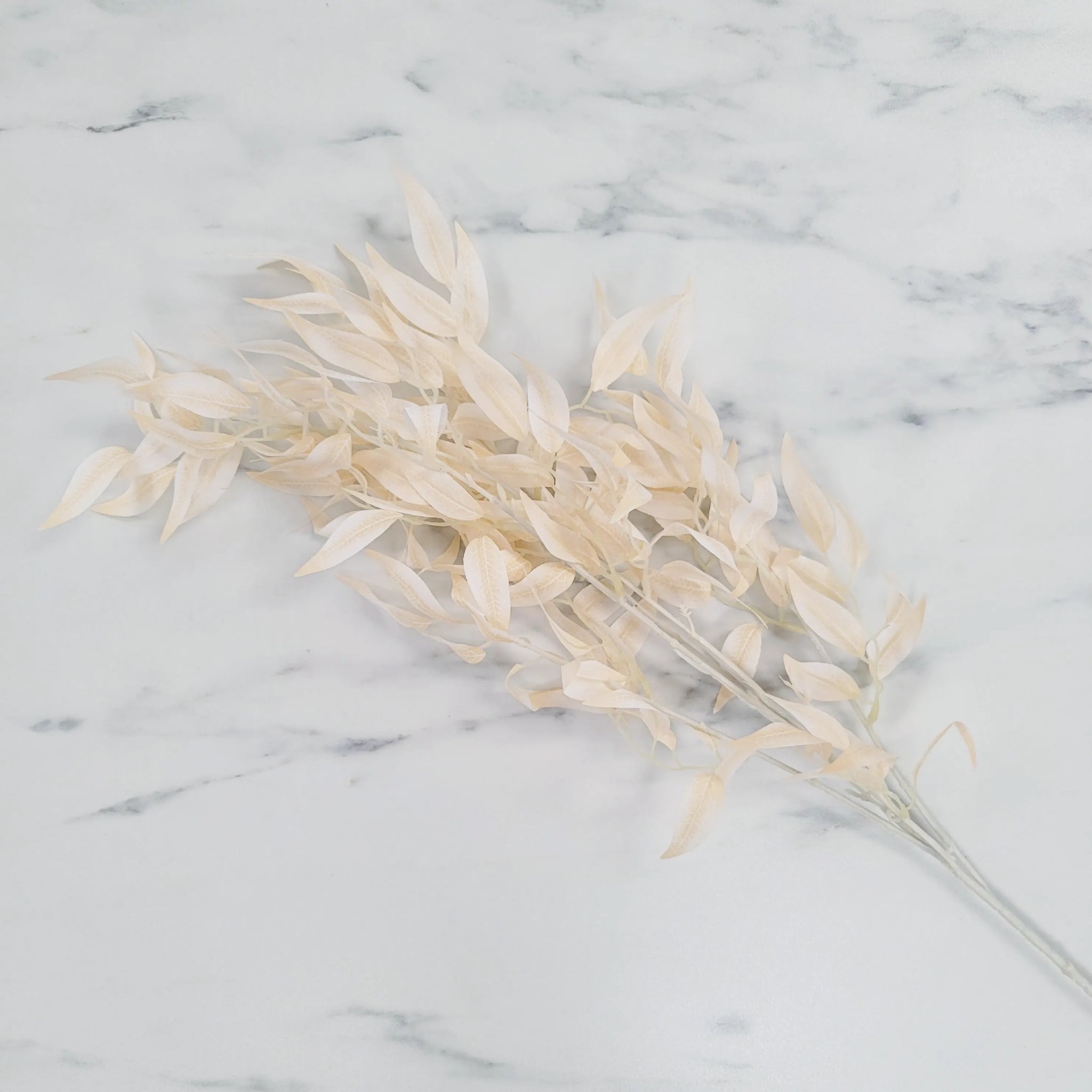 Eucalyptus Spray | Single Stem