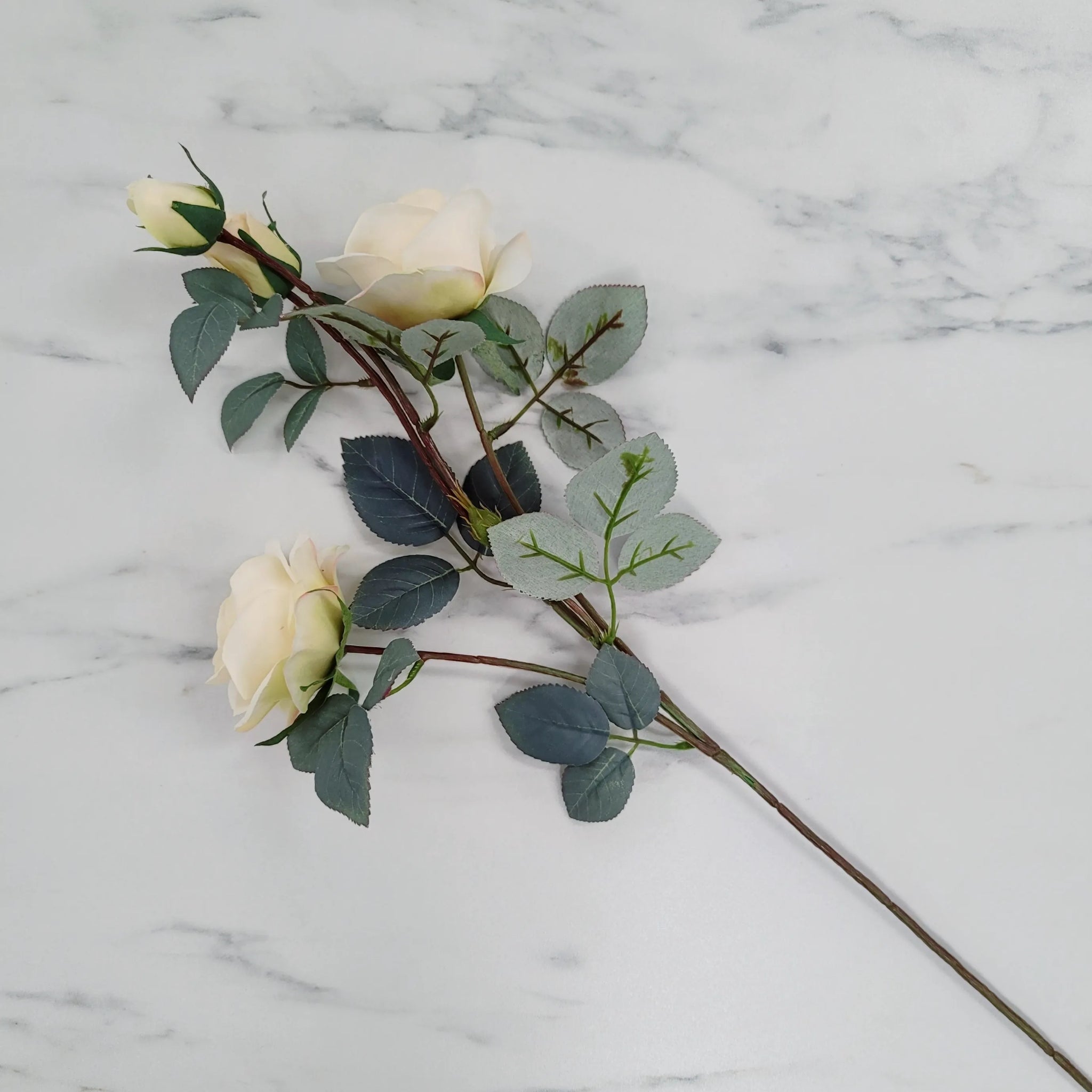 Rose | Single Stem
