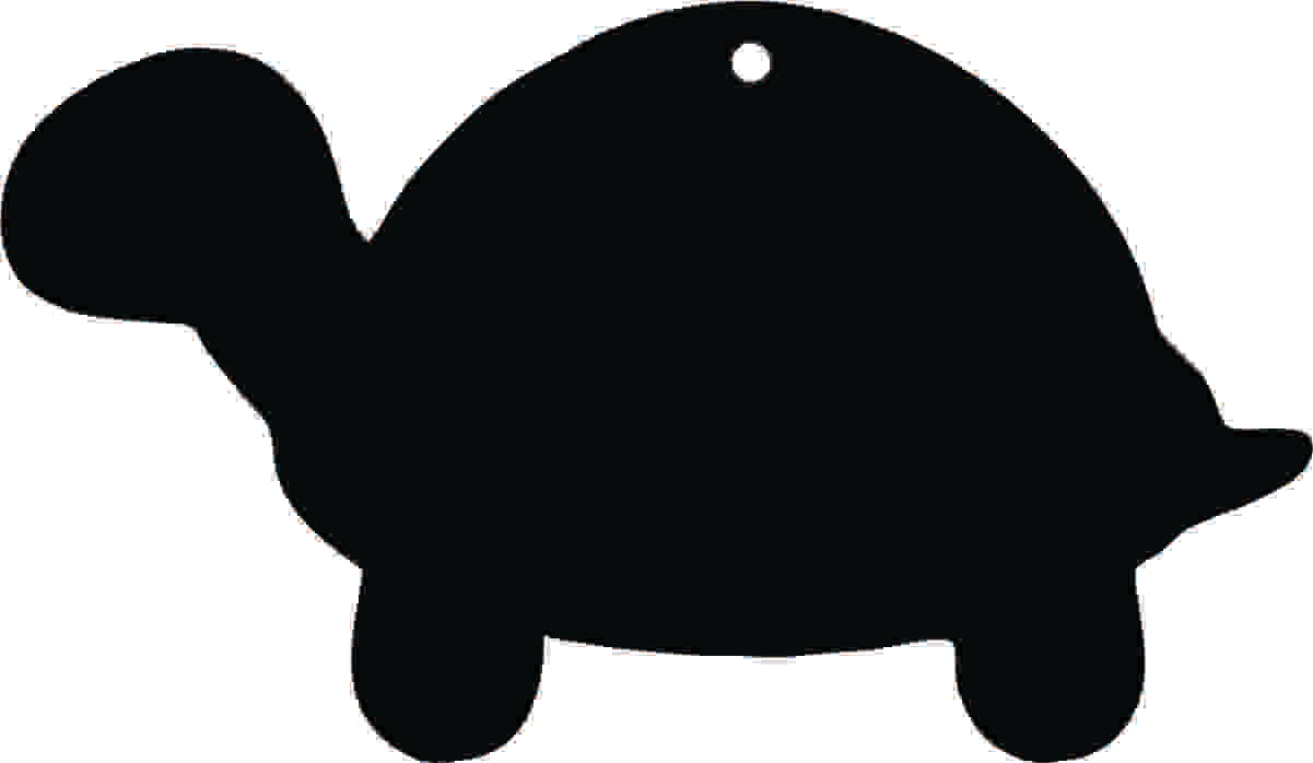 Turtle Acrylic Blank