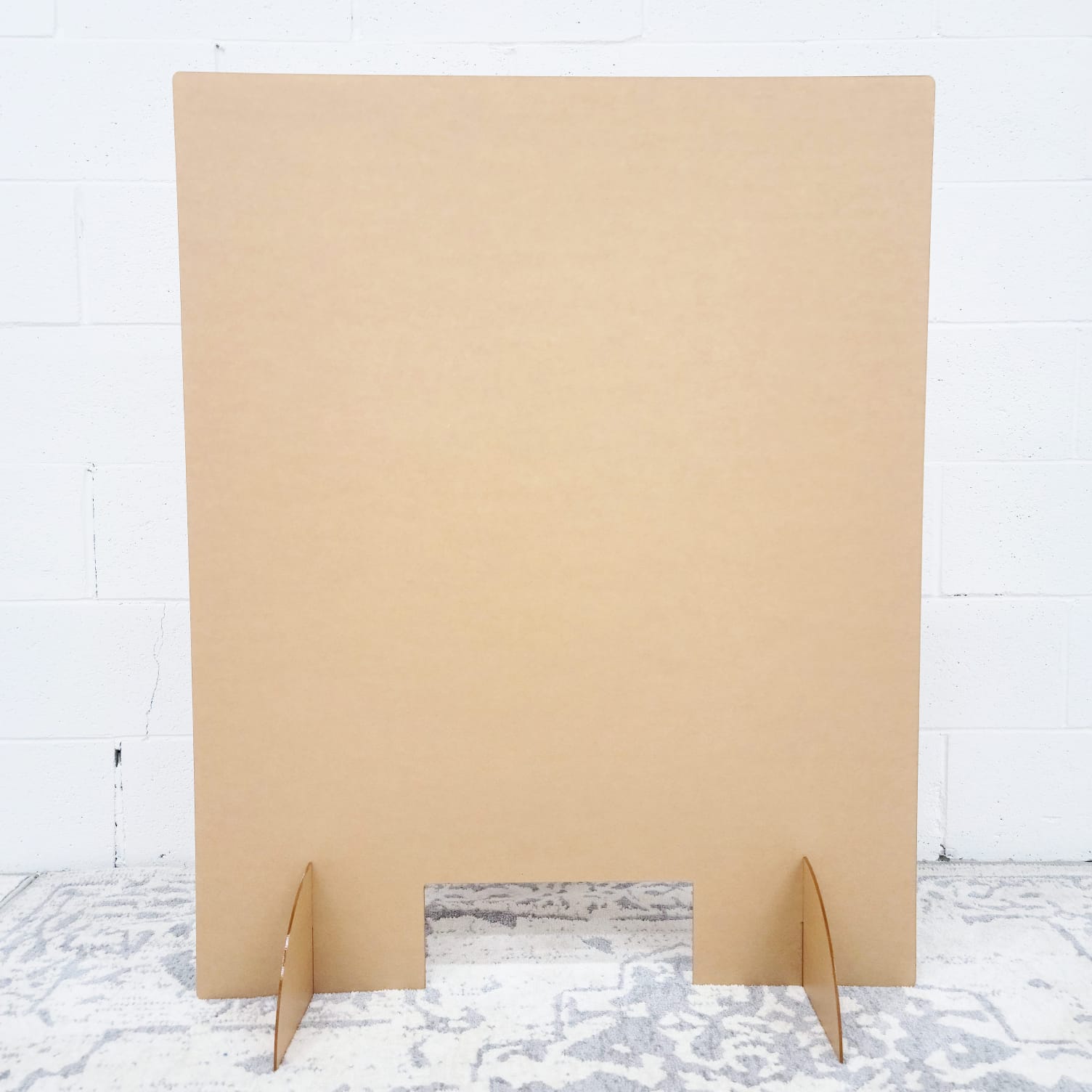 Sneeze Guard | Local Pickup Only