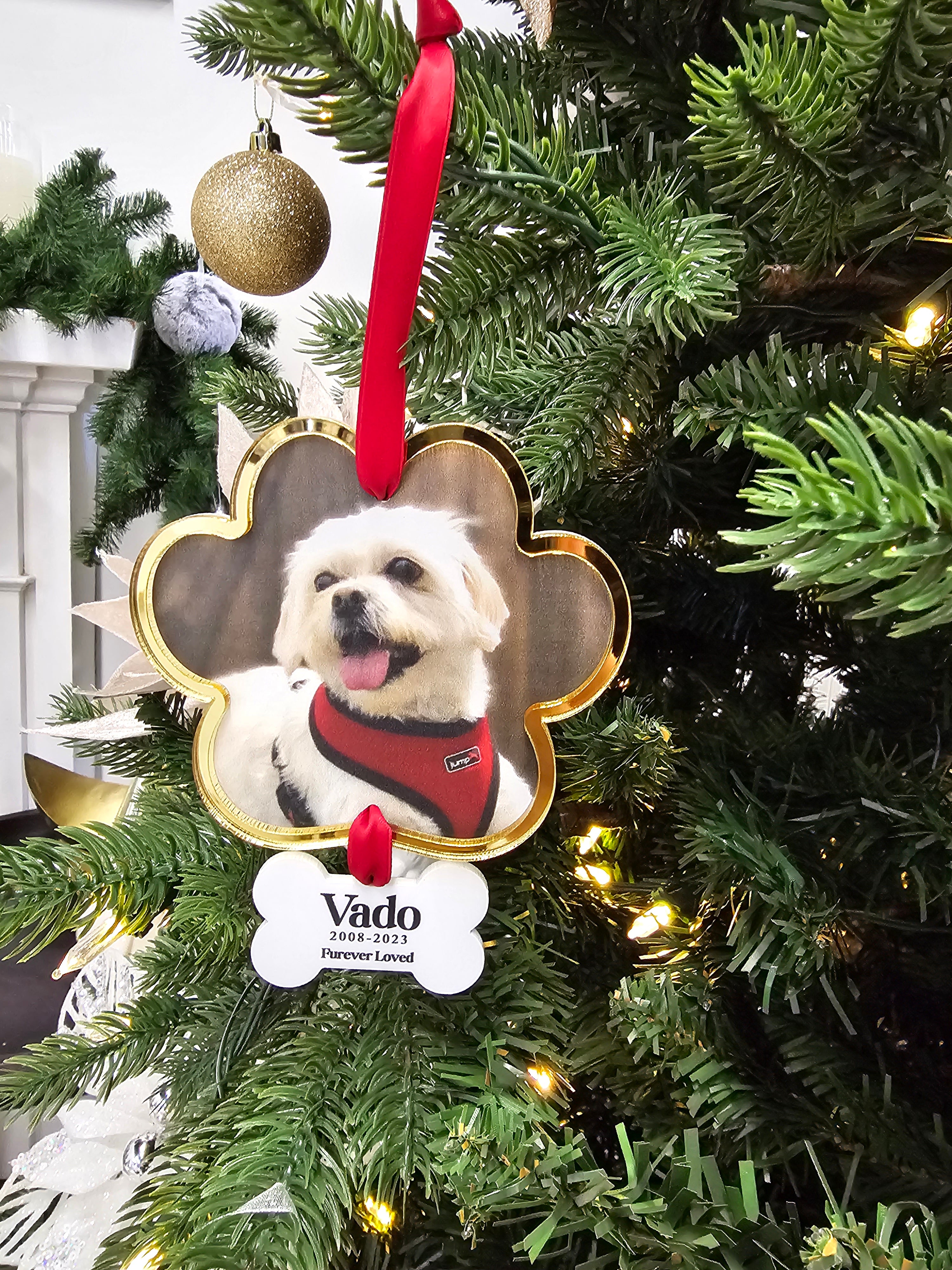 Custom Paw Ornament | Layered Acrylic | UV Printed