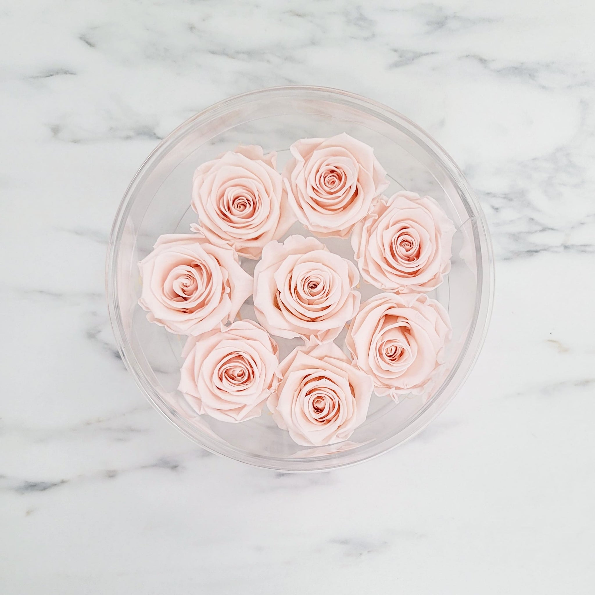 Round Acrylic Rose Box