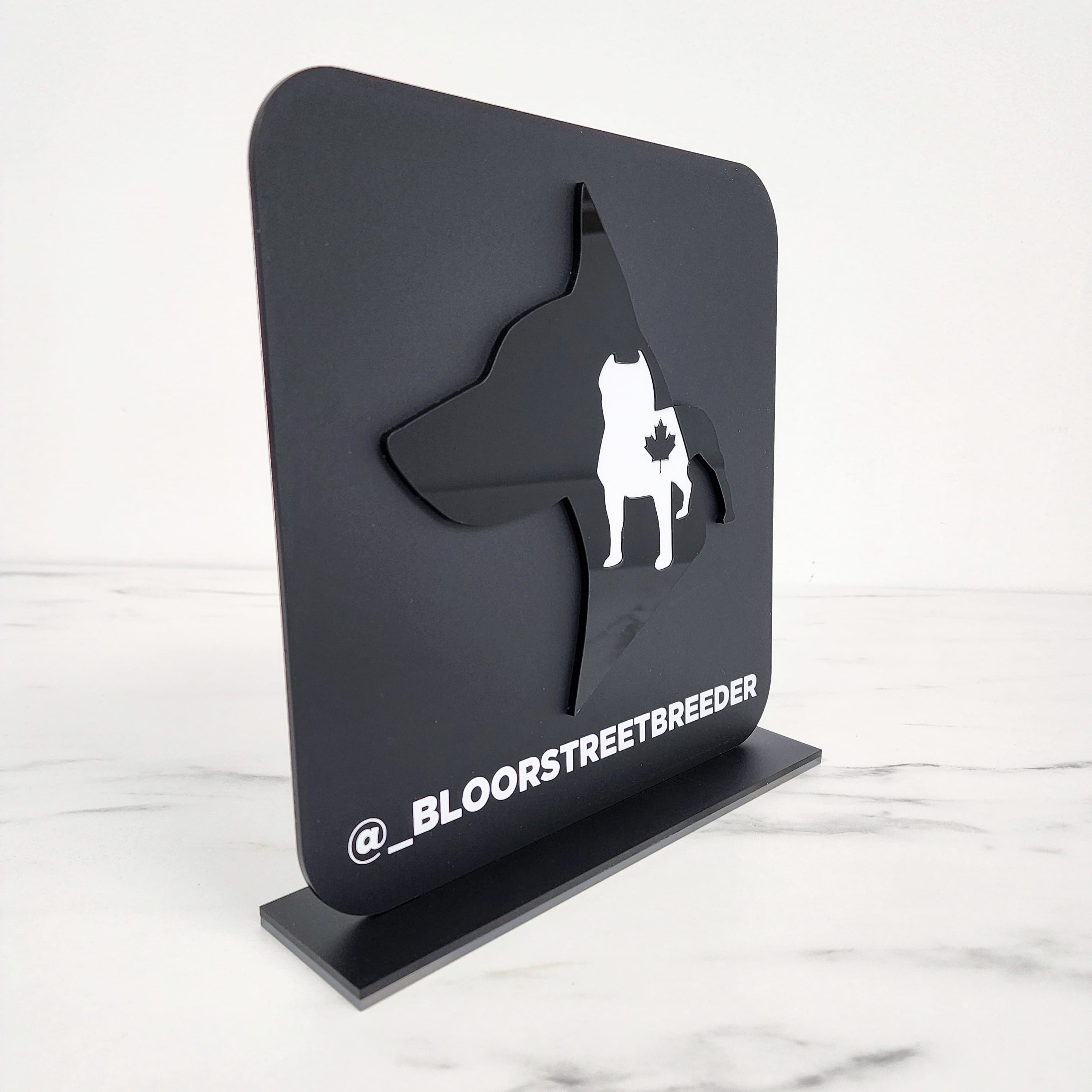 Custom Acrylic Square Logo Business Sign  | 9 x 9"