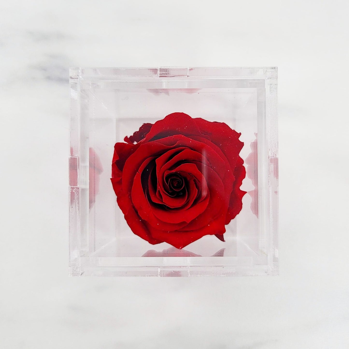 Clear Acrylic Rose  Box | 2.5"