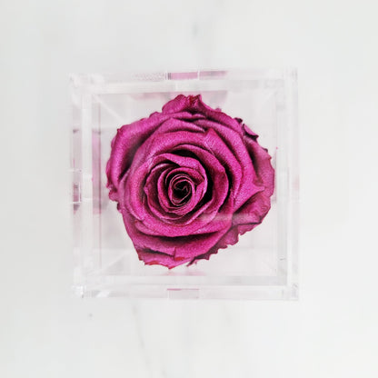 Preserved Roses | Single Rose Head Only