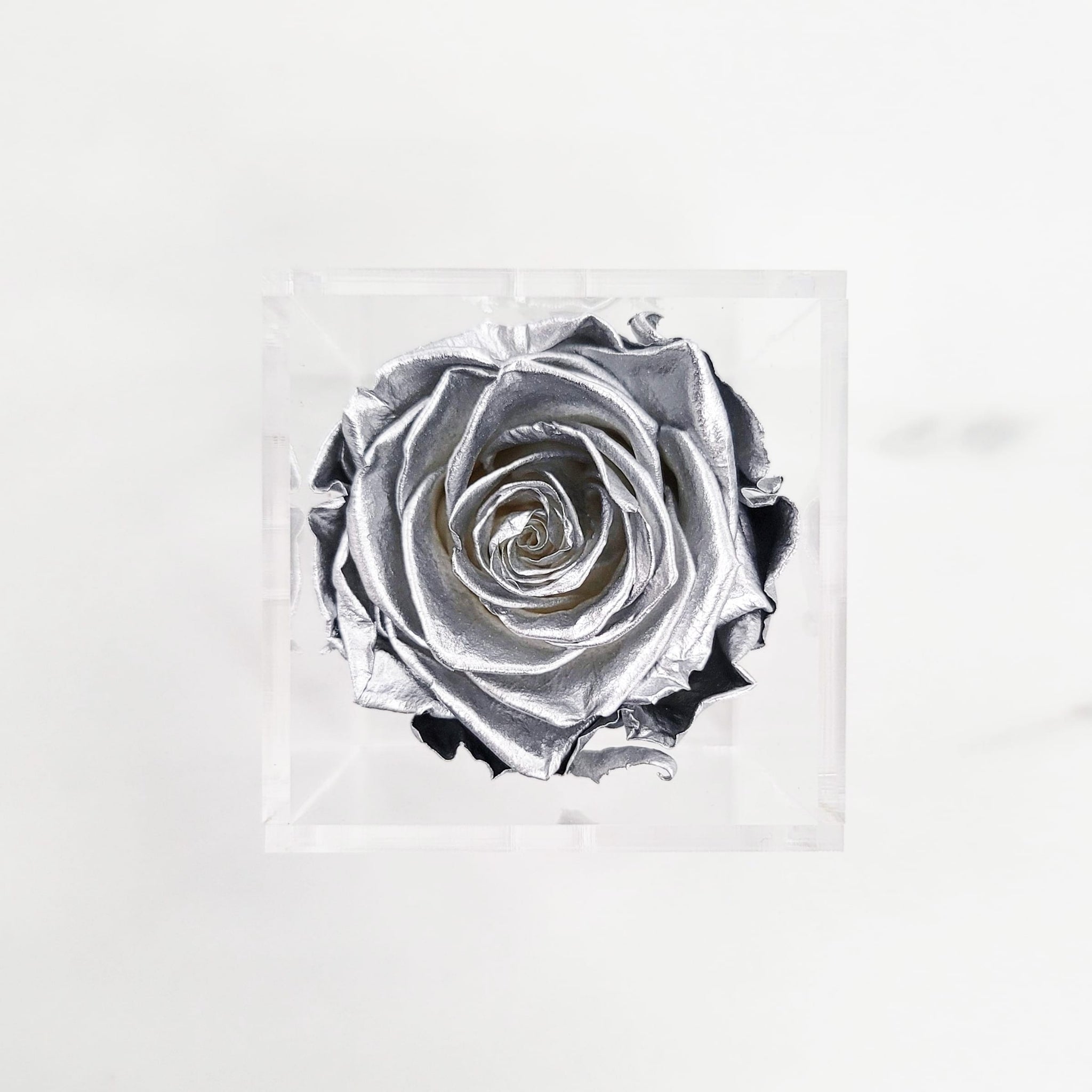 Preserved Roses | Box of 6