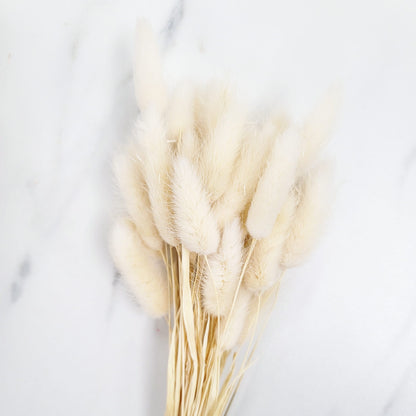Dried Bunny Tails