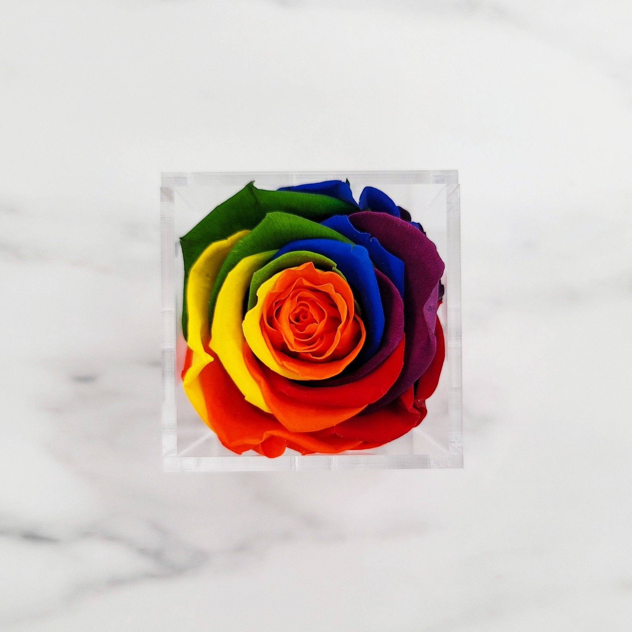 Preserved Roses | Box of 6