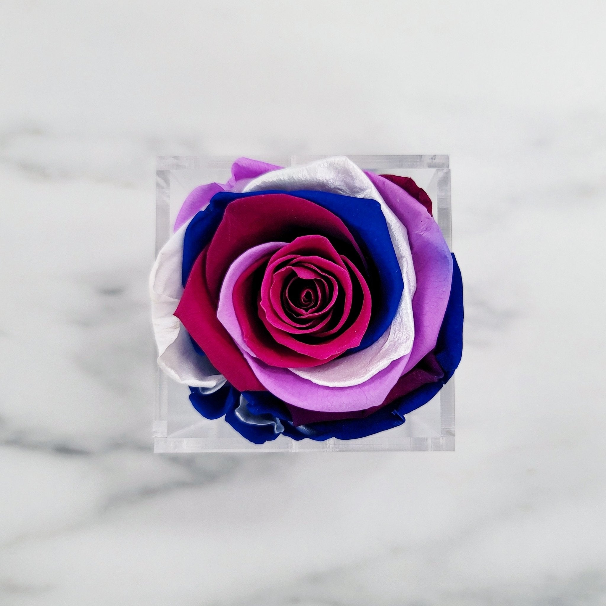 Preserved Roses | Box of 6