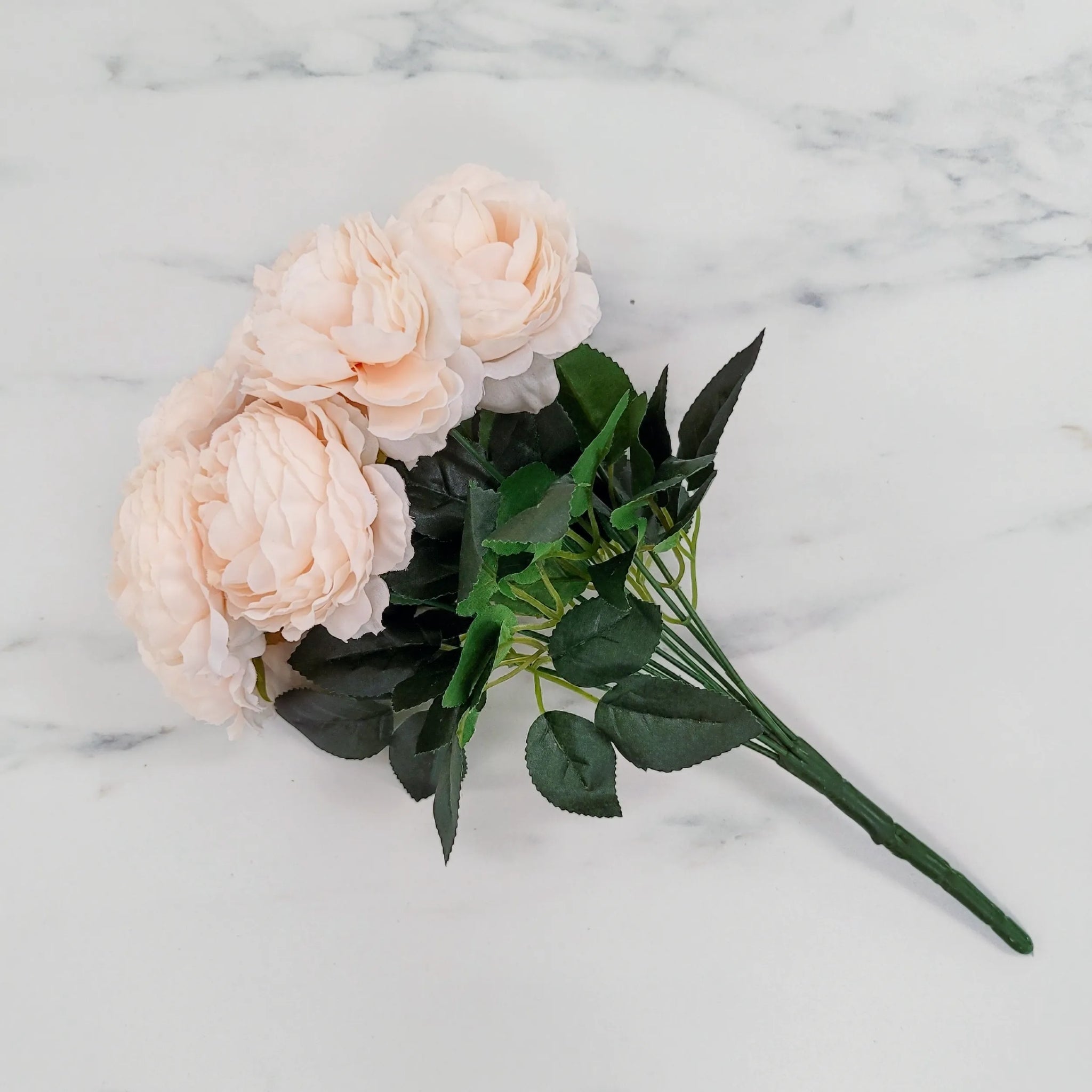 Garden Rose | Bunch