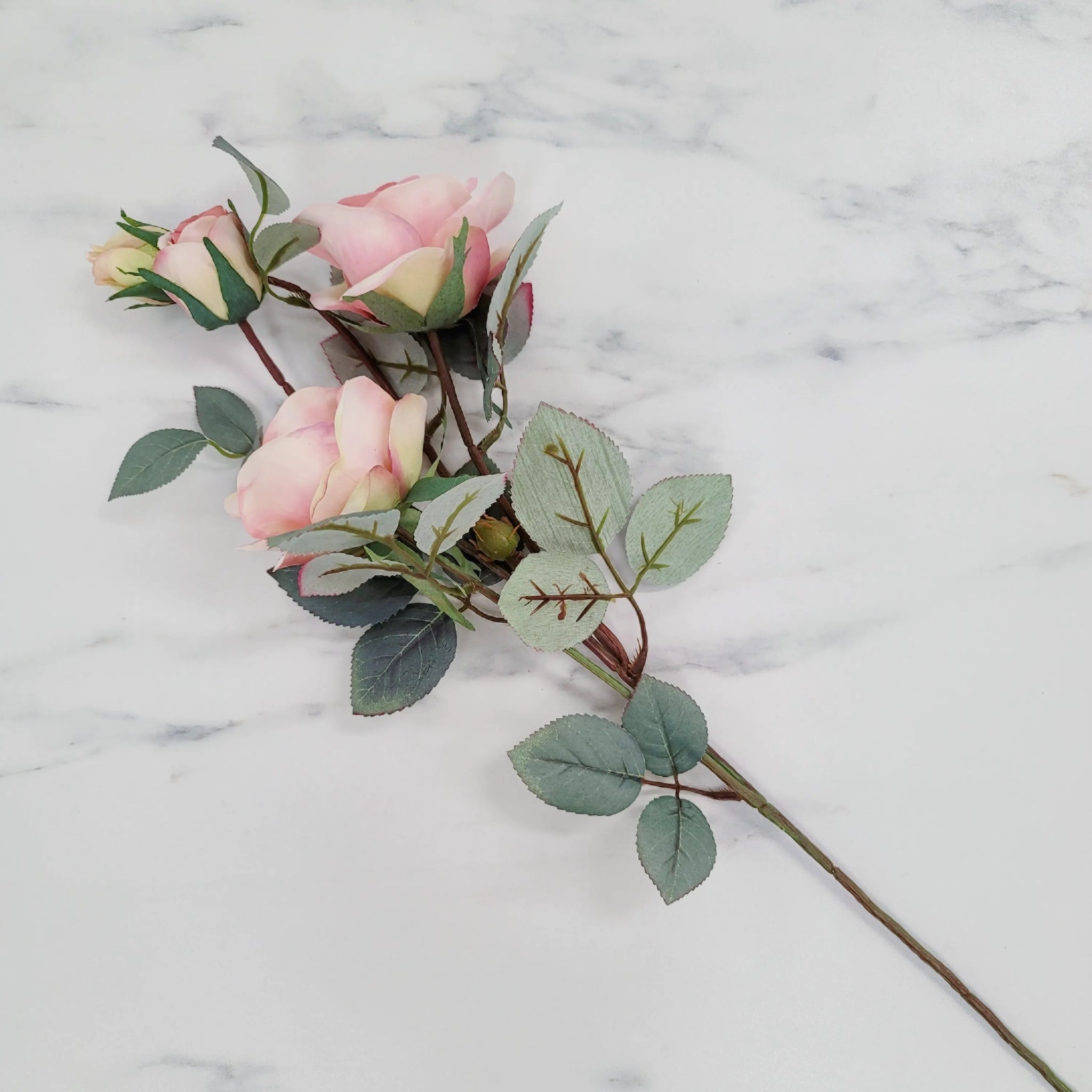Rose | Single Stem