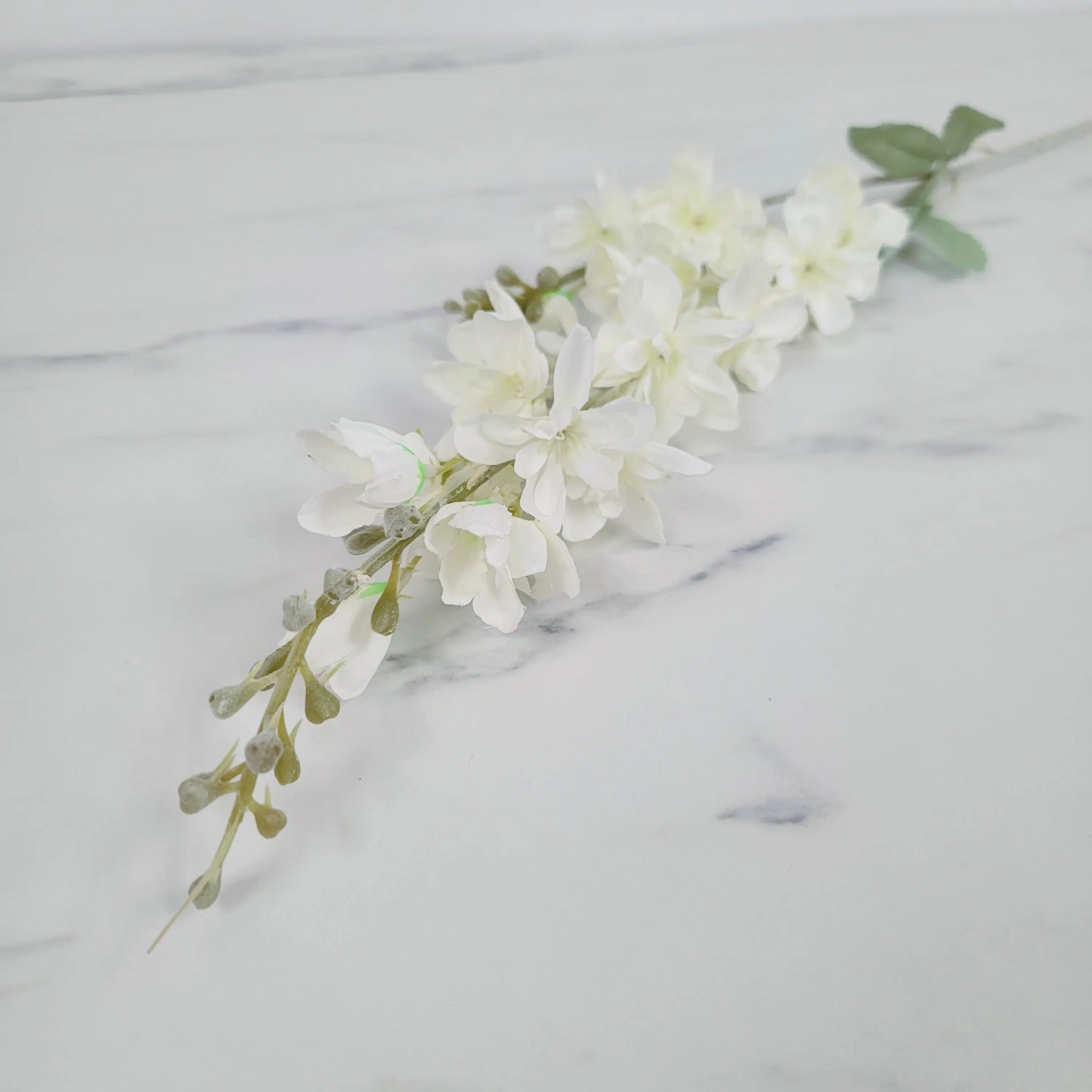 Delphinium | Single Stem
