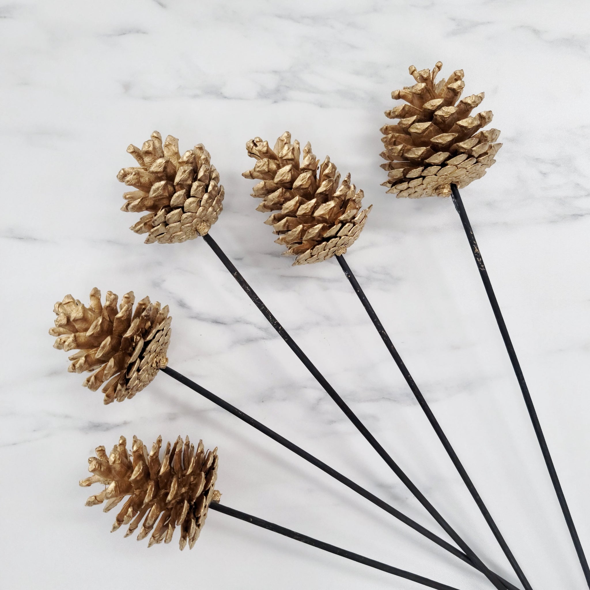 Pinecone Picks | Gold