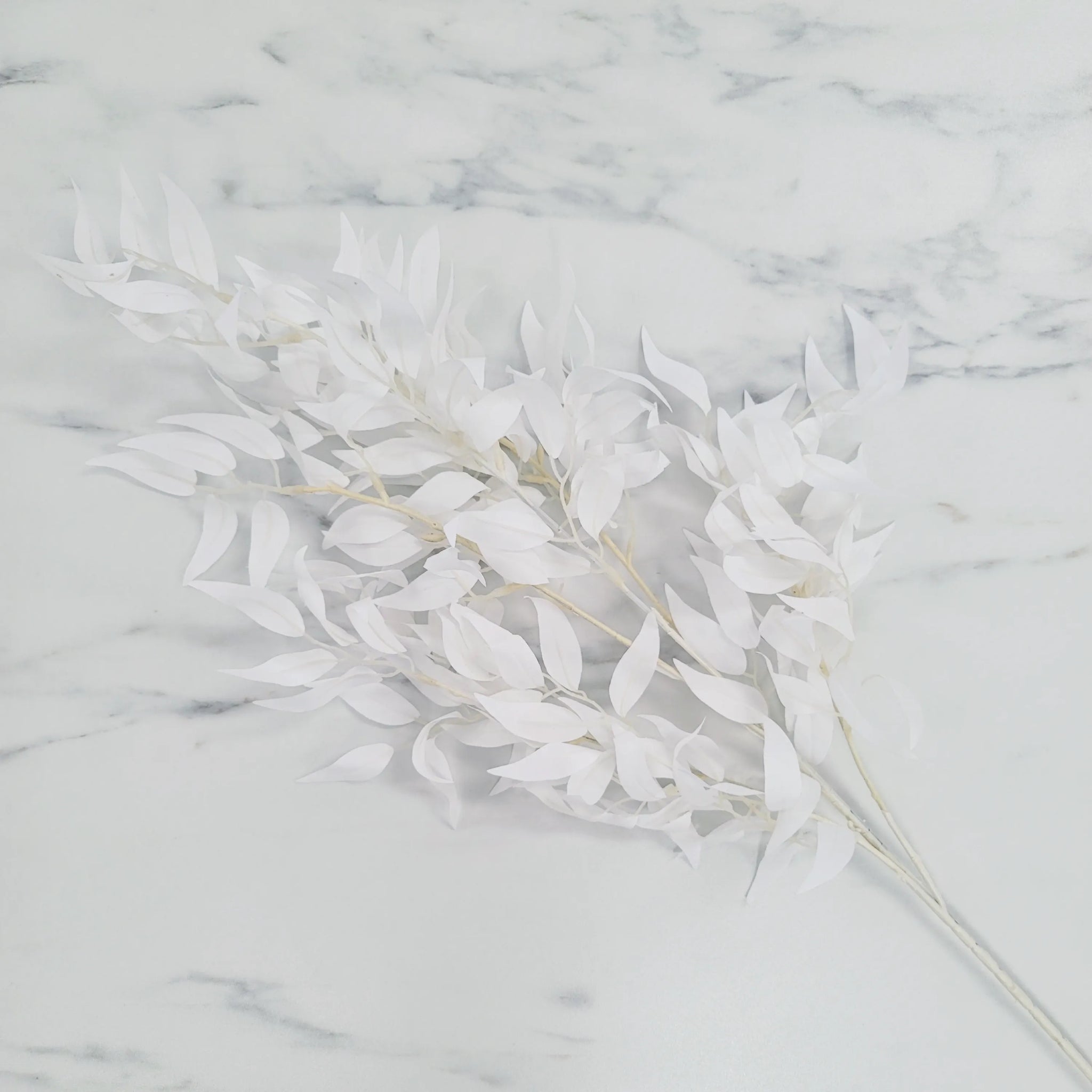 Eucalyptus Spray | Single Stem