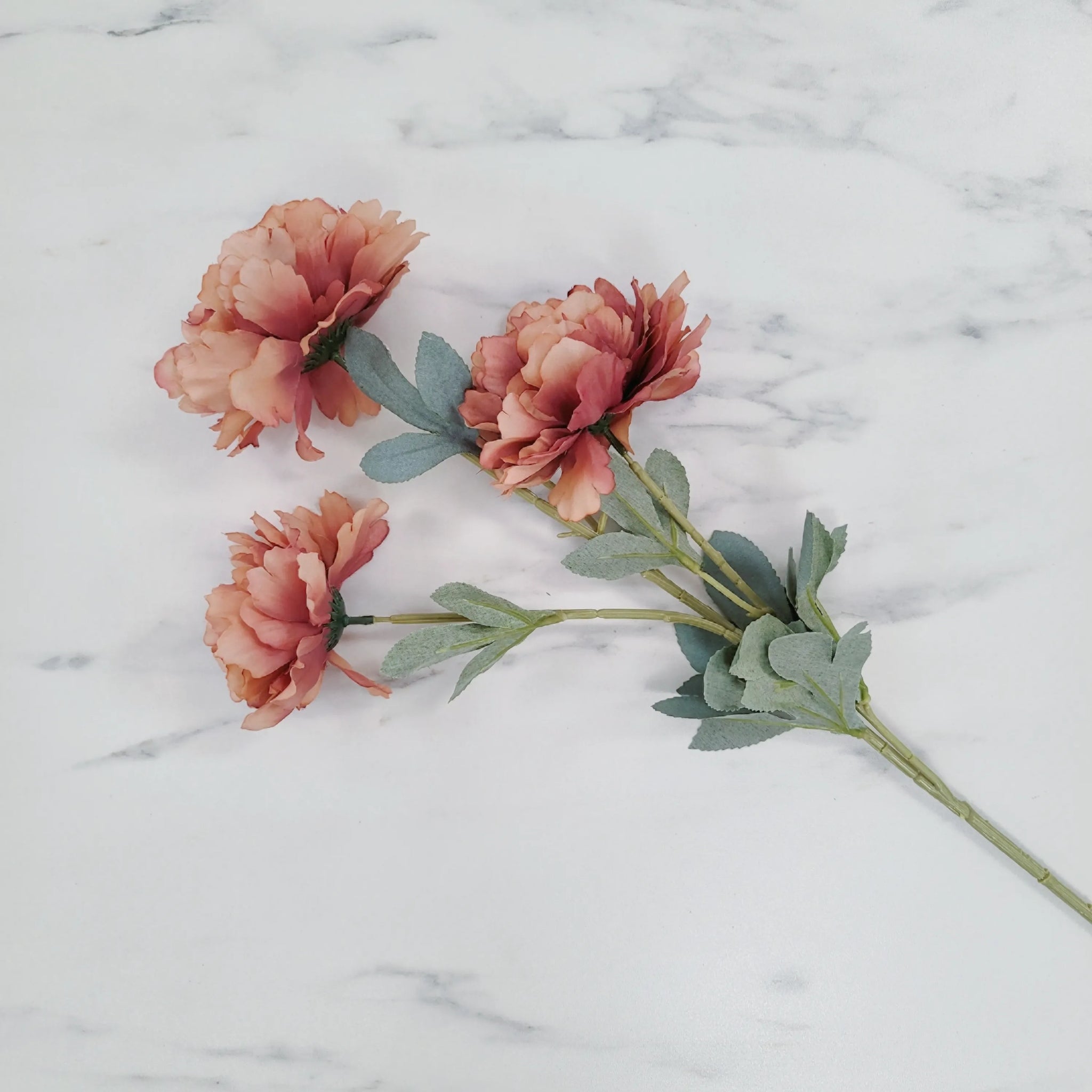 Peony | Single Stem