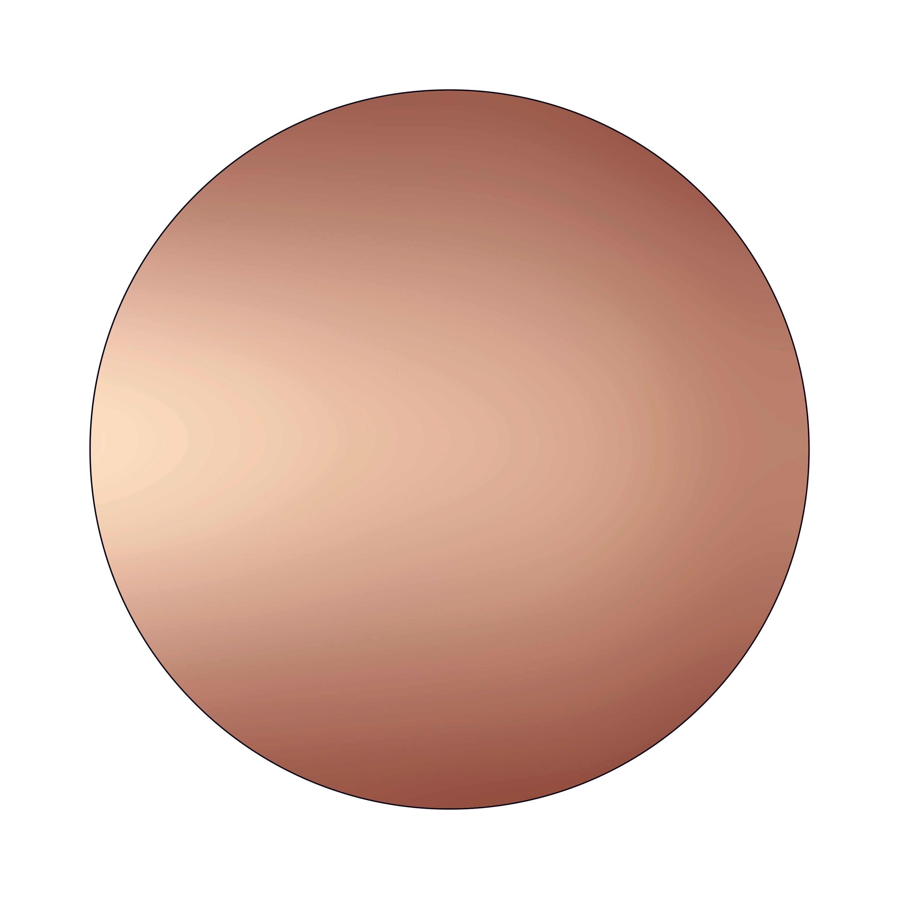 Round Acrylic Sheet | Rose Gold Mirrored